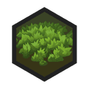 icon_feature_jungle